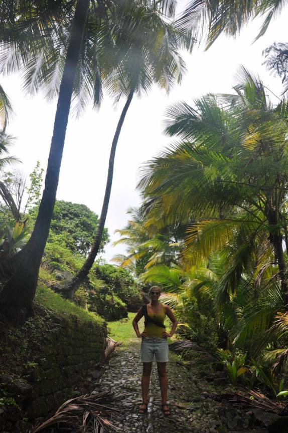 Caminhando na Île Royale, a principal das Îles de Salut, na costa próxima à Kourou, na Guiana Francesa